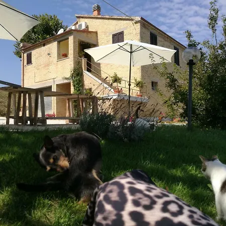 La Casa Del Duca *