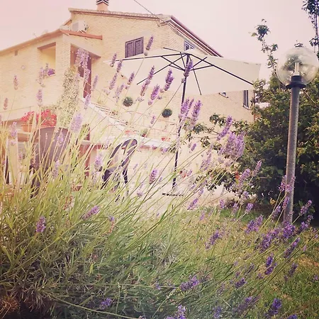 La Casa Del Duca Holiday home