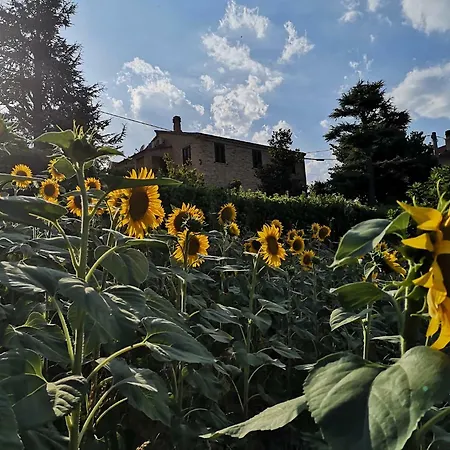 La Casa Del Duca * Montalto delle Marche
